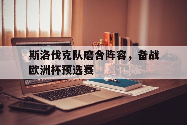 关于斯洛伐克队磨合阵容,备战欧洲杯预选赛的信息
